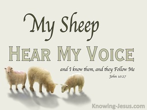 John 10:27